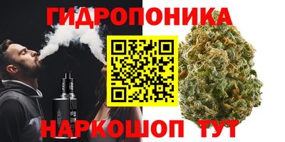 гидра Бузулук