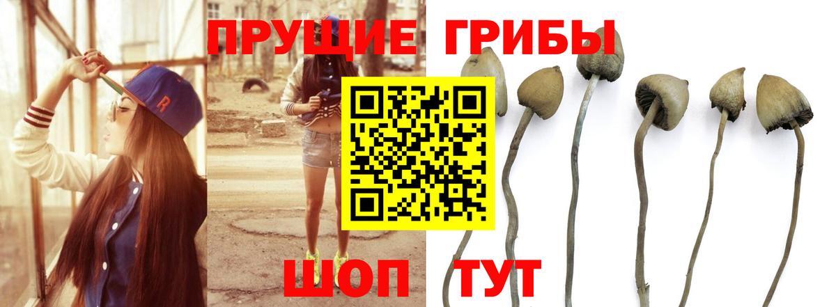 Галлюциногенные грибы ЛСД Партизанск